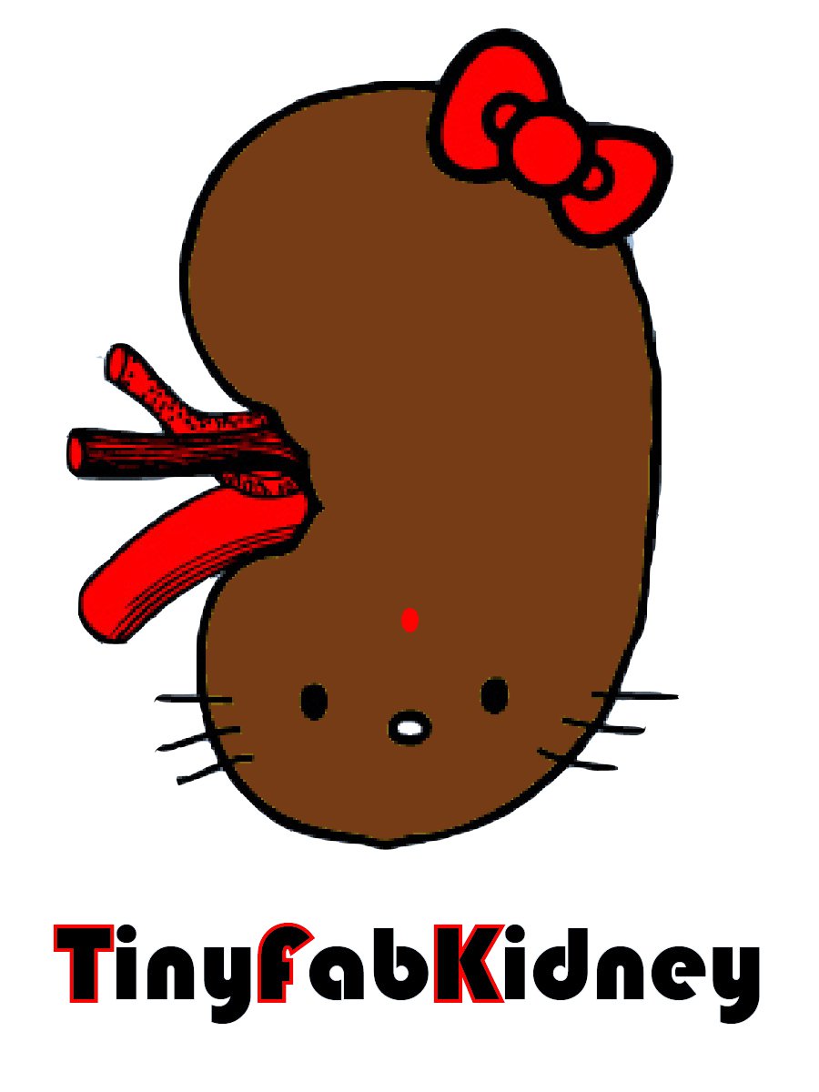 Kidney Cartoon Picture